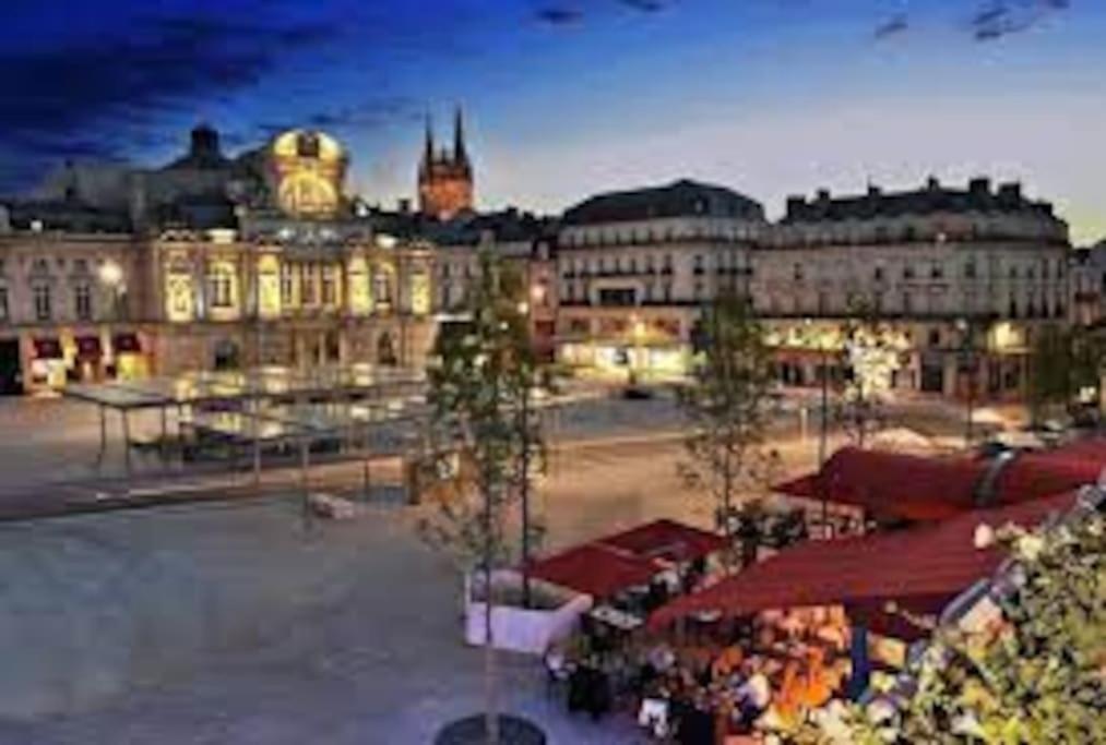 T1 Bis Cosy Et Spacieux - Wifi - Parking Gratuit Angers Esterno foto
